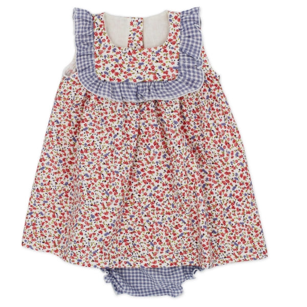 Rapife Floral Gingham Dress