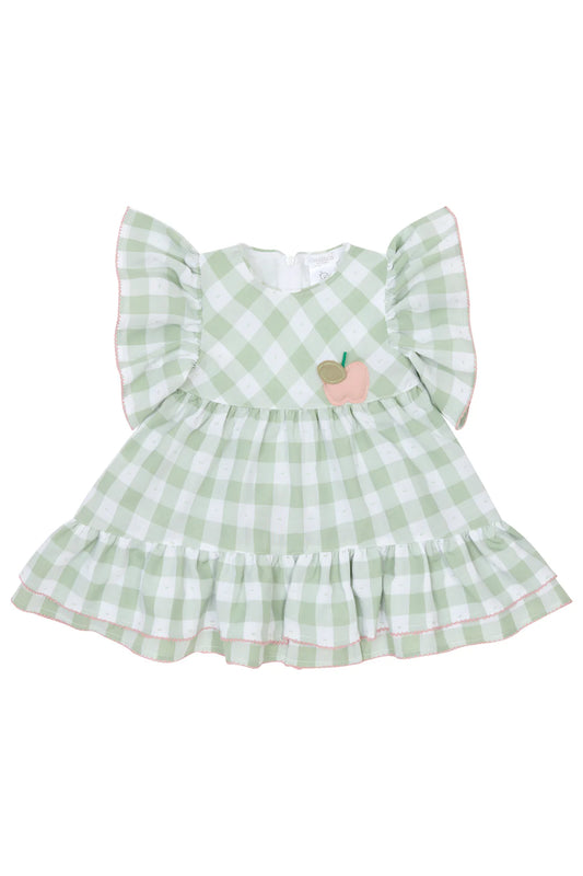 Deolinda Green Gingham Apple Dress DBV25314