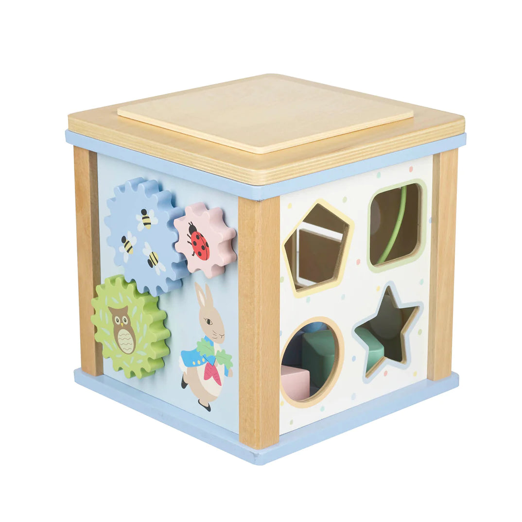 Peter Rabbit Wooden Activity Cube